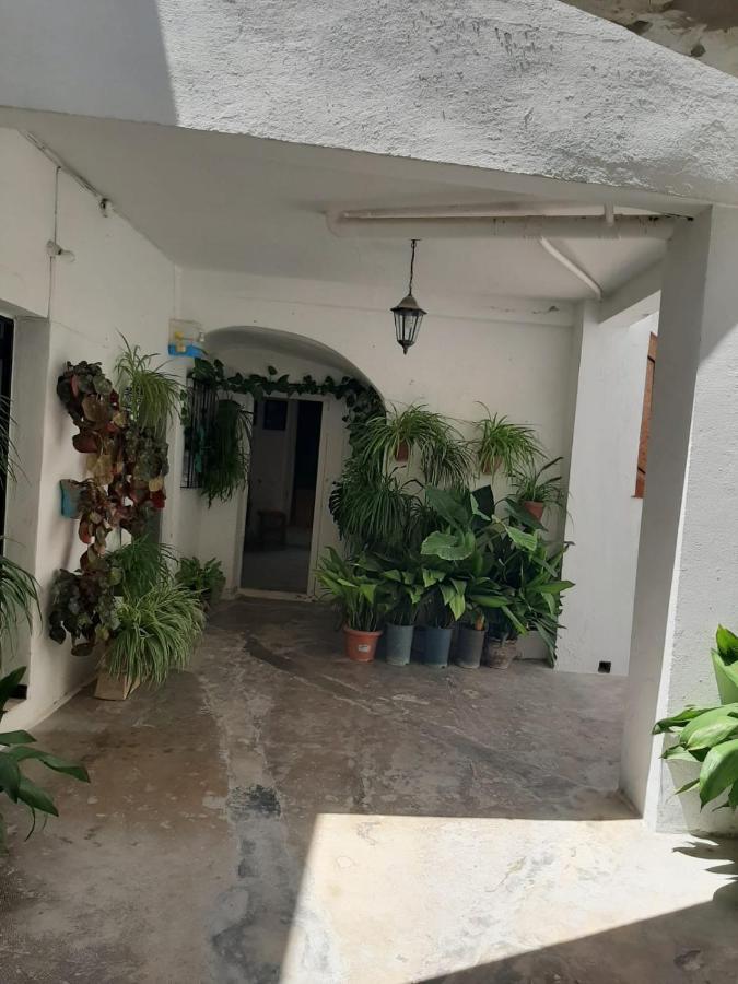 Estudio Del Zaguan Vejer de la Frontera Exterior photo